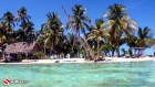 Belize, Tiny Cay, Snorkeler\'s View