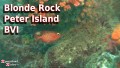 Blonde Rock - Peter Island - BVI