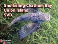 Snorkeling Chatham Bay, Union Island, SVG