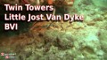 Twin Towers - Little Jost Van Dyke - BVI